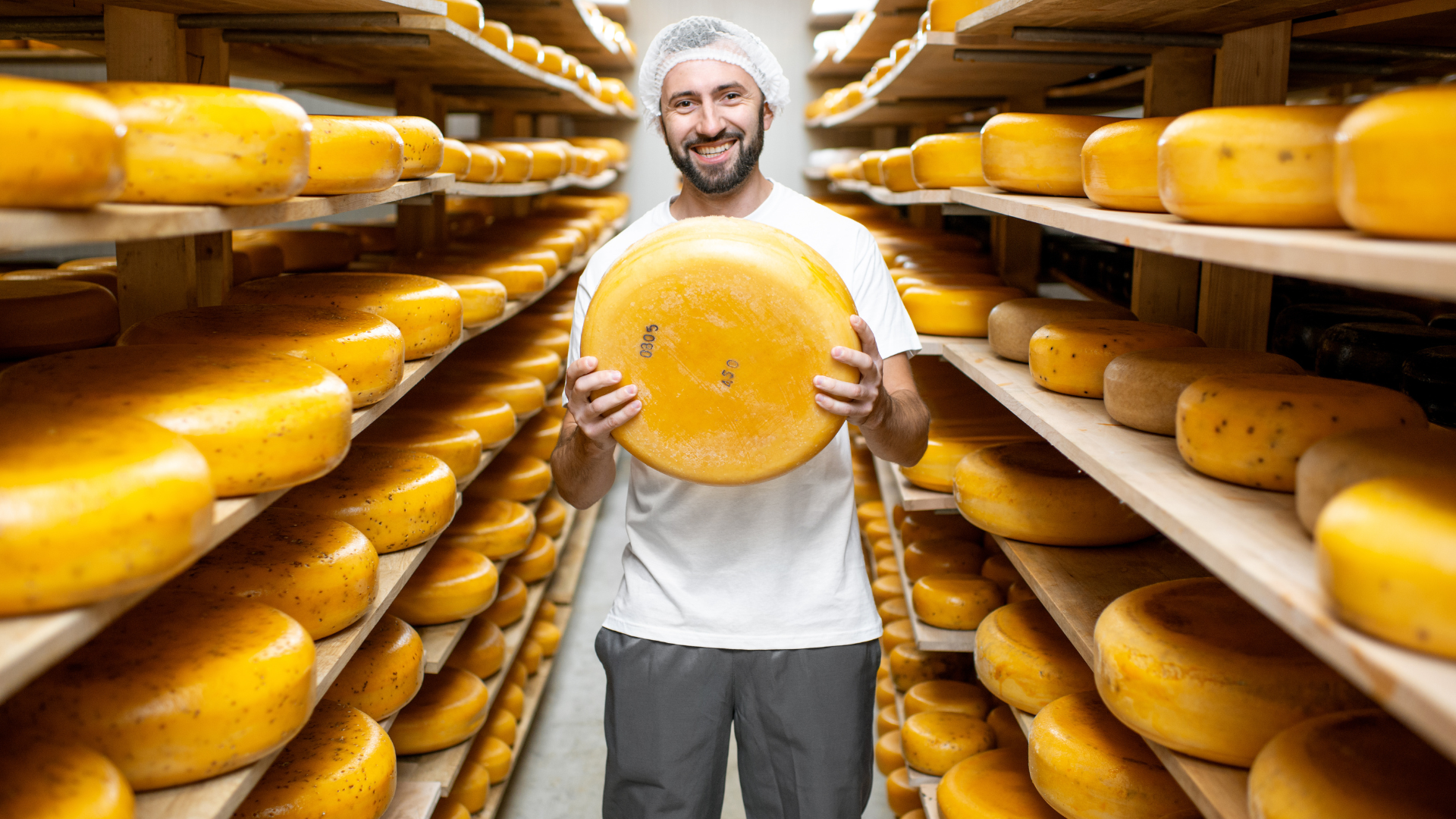 Smiling cheesemaker holding a large wheel of cheese in a storage room filled with aging cheese rounds on wooden shelves.