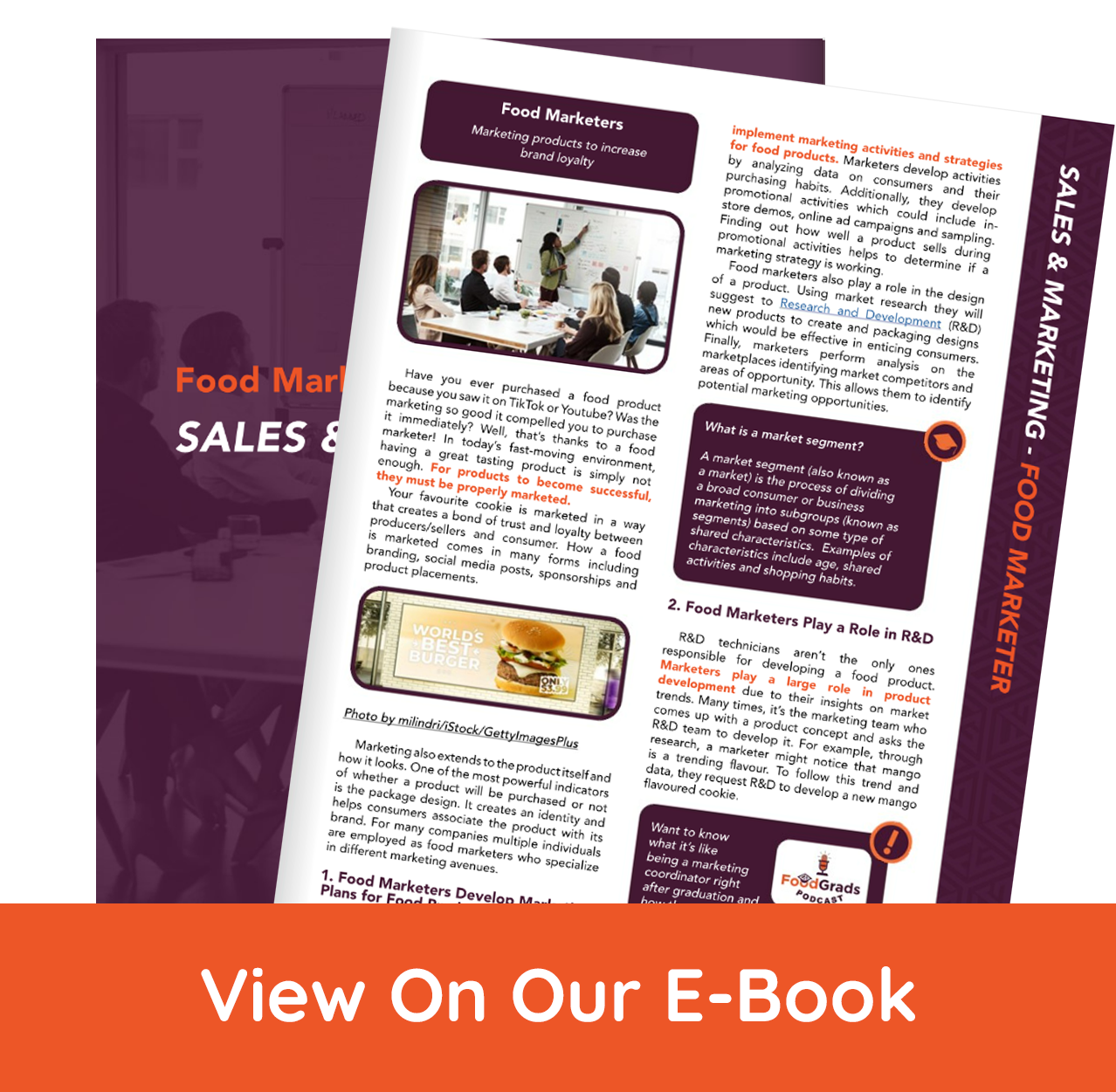 Preview of Sales and Marketing E-book