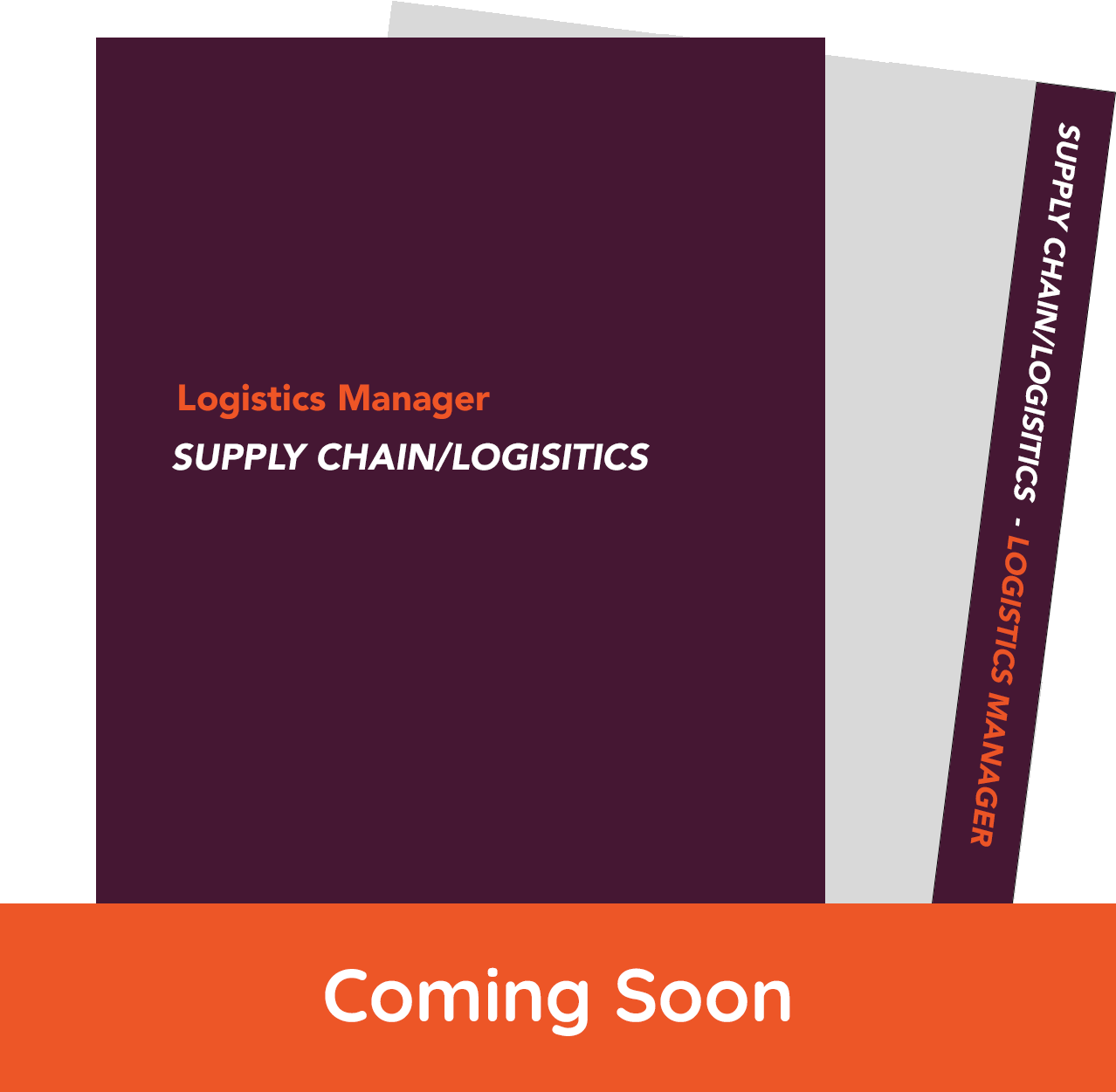 Preview of Supply Chain and Logistics E-book