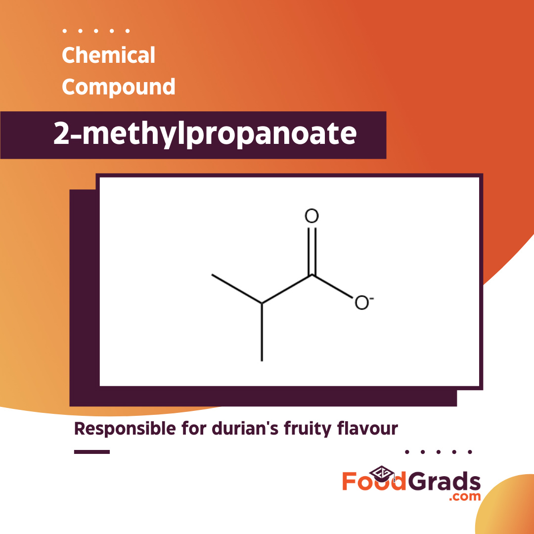 2-methylpropanoate is responsible for durian's fruity flavour