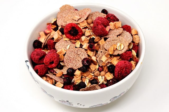 Bowl of cereal with dehydrated berries 