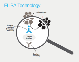 Visual representation of Elisa technology focused on target analysis, featuring lab instruments and data interpretation